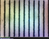 JEPCAM showing 10 micron spaced bars. 100X objective.